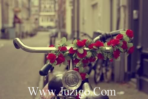 六年级好词好句积累