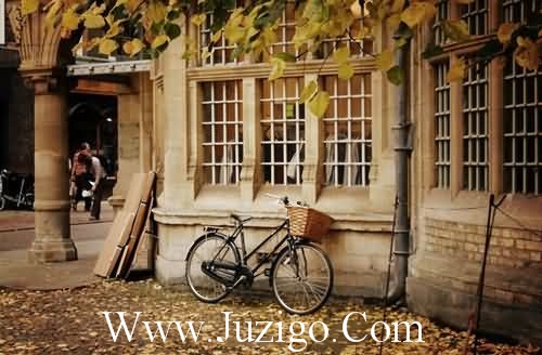 情人暧昧短信81句