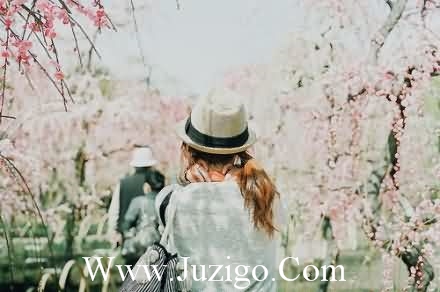 适合发朋友圈的句子高质量(早安正能量朋友圈高质量句子)