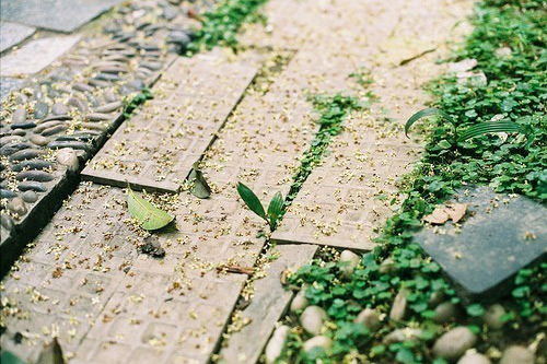 高三励志名言(82句)