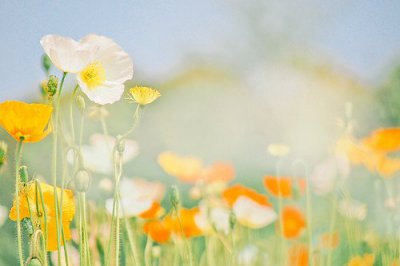 ​商业名人语录励志60句