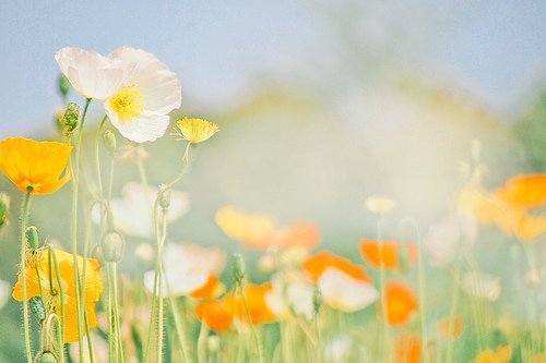 商业名人语录励志60句