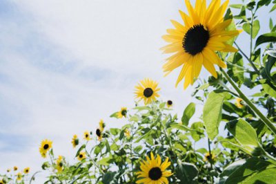 ​赚钱励志名言60句