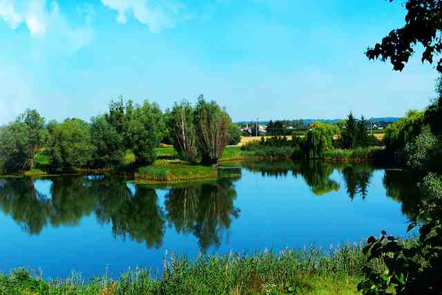 最新心情短语(精选120句)