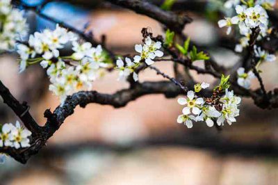 ​心情好的说说句子大全（精选67句）