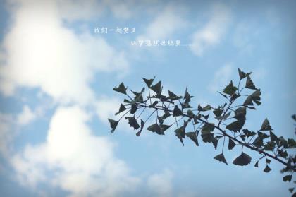 16字心情物语短句