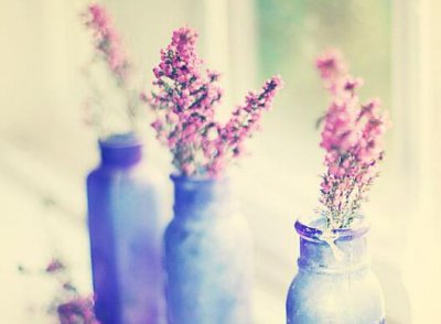 ​抖音最火的心情句子