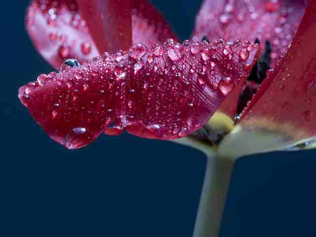 很走心的神仙干净文案短句 发朋友圈很好听的语录句子