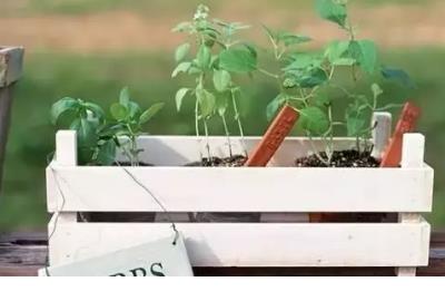 分手后的伤感说说短句