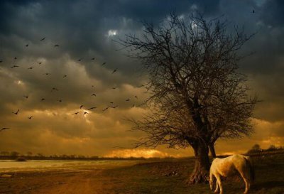 ​微信昵称女生简短好听