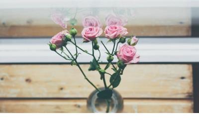 最有文化的食堂标语