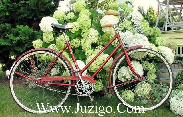 圣诞节日文案圣诞节日文案(精选75句)