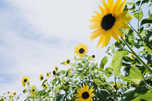 很叼的性签名110句