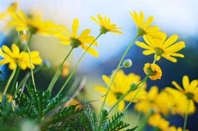 ​激励女孩子奋斗的话(58句)