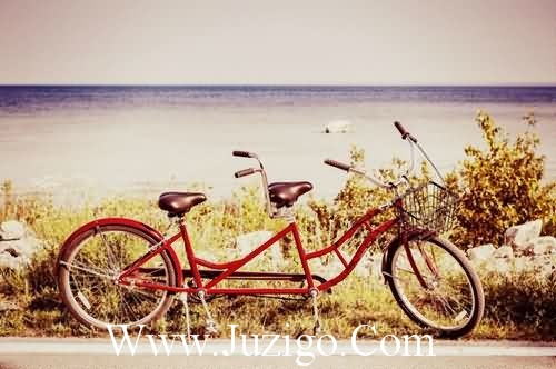 励志的话正能量(十个字以内充满正能量励志的话要十句)