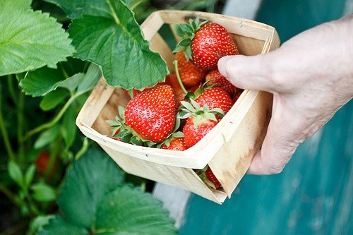 瞎子的歇后语88句