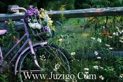 史记励志名句及翻译工作说说句子(精选30句)