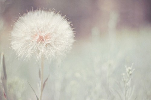 关于气候物象的谚语68句