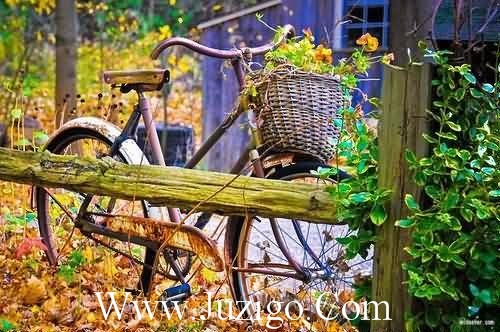 晨语早安正能量简单话(精选39句)