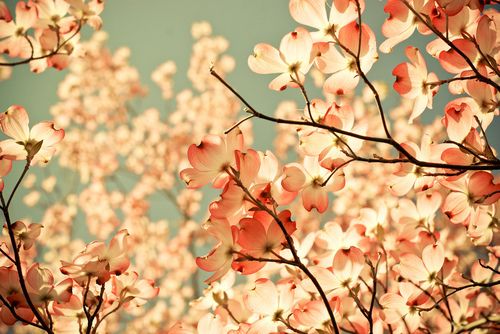 防控河南疫情正能量暖心语录(25句)