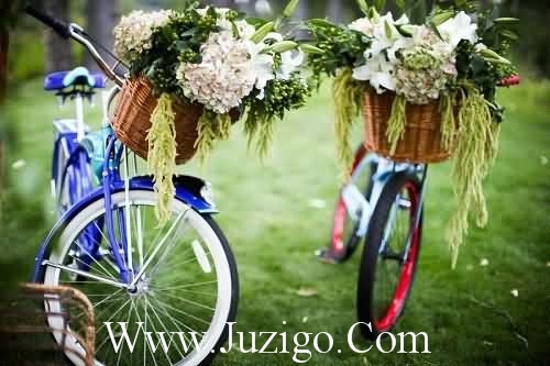 积极励志正能量的句子积极正能量的句子(精选21句)