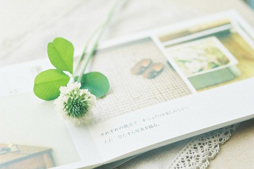 健康养生励志正能量句子(31句)