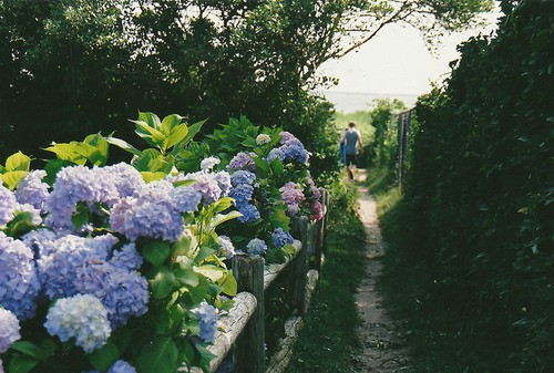 小清新性签名女生101句