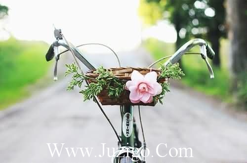 初三冲刺中考家长寄语 初三冲刺中考金句(精选82句)