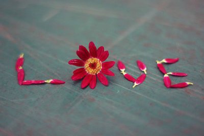 ​关于人生的好词好句好段(精选57句)