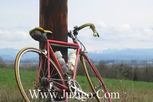 始终被你打败，只因迷恋你的温柔