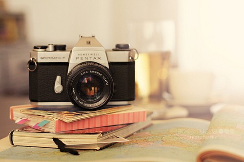 女人对生活的正能量的句子(20句)