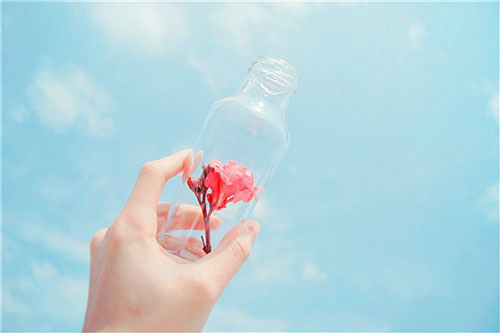 学会珍惜的正能量句子20句