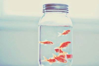 ​11月早安心语正能量一句话11月早安问候语简短一句话