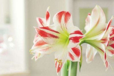 ​适合早上发的励志说说早上聊天话题幽默(16句)