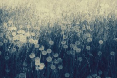 ​有关眼泪的比喻句12句