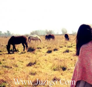 ​中考冲刺语51句