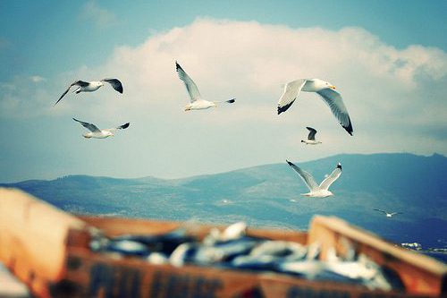 比喻句描写人物39句