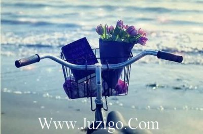 ​周三早安语(精选19句)