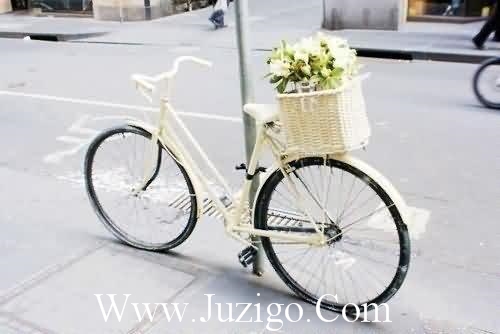 树林写拟人句15句