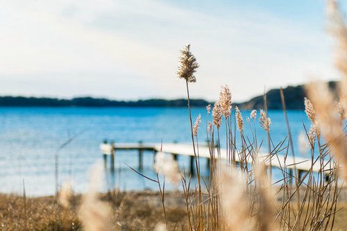 赞美母爱比喻句21句