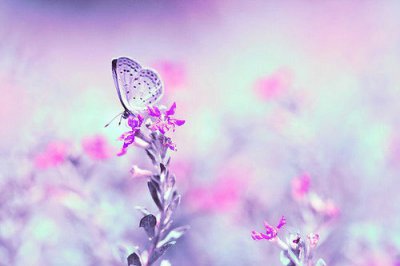 ​关心他人互相帮助的谚语75句