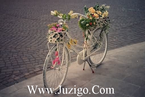 命运为什么如此折磨我(精选25句)