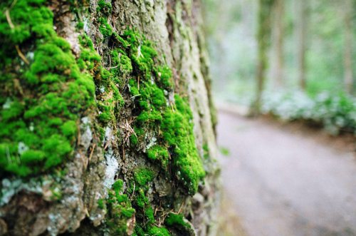 有趣拟人句37句