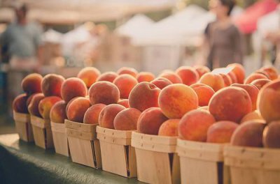 ​关于公正的谚语36句