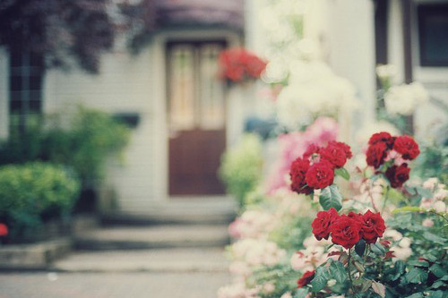 吃竹子剥皮歇后语29句