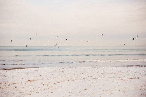 简短有气质的女生qq个性签名(精选79句)