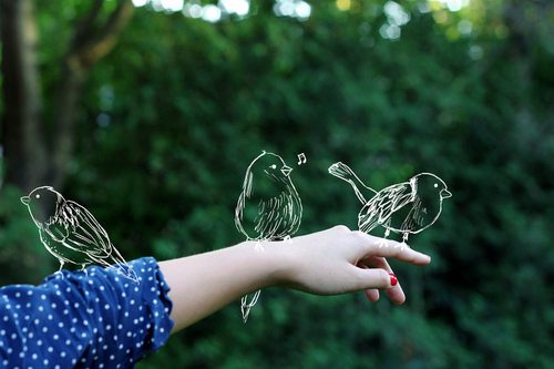 英语赞美的话78句