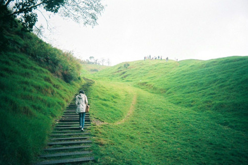 关于花草树木的谚语85句