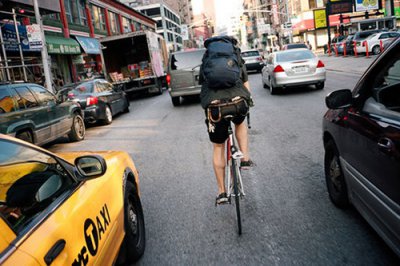 ​以树写排比句22句