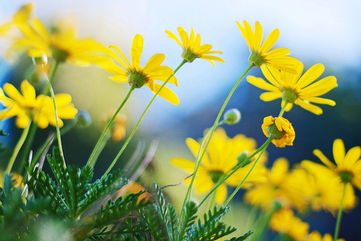 写努力学习的谚语64句